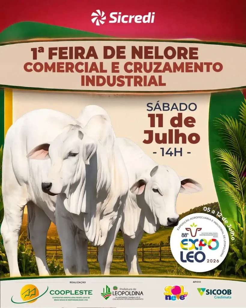 Histórico de Eventos 9 🐂 1ª Feira de Nelore Comercial e Cruzamento Industrial 2026: Elite do Agro!
