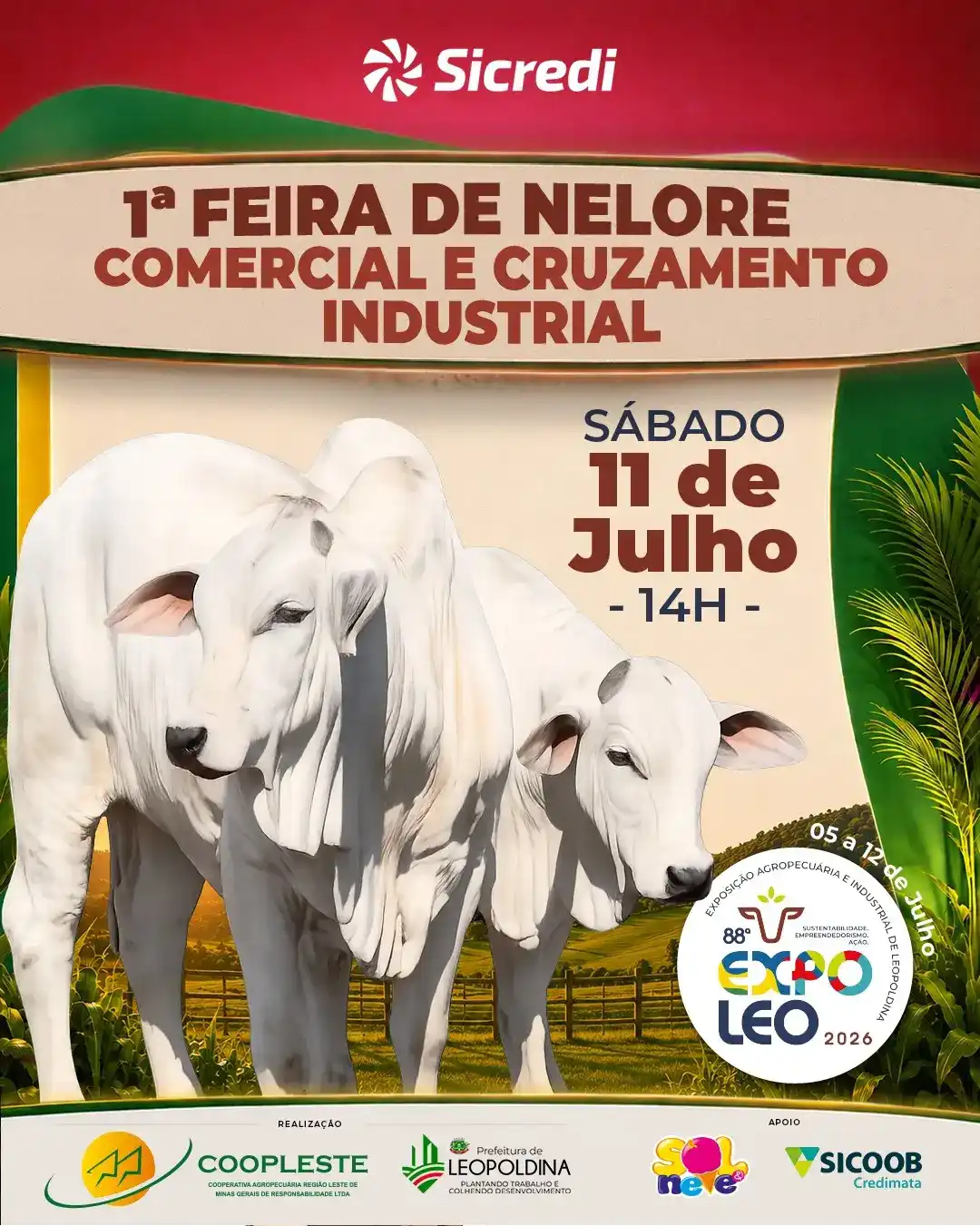 🐂 1ª Feira de Nelore Comercial e Cruzamento Industrial 2026: Elite do Agro!
