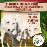 1ª Feira de Nelore