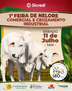1ª Feira de Nelore
