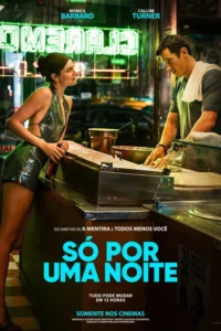 Pôster do filme Só Por uma Noite